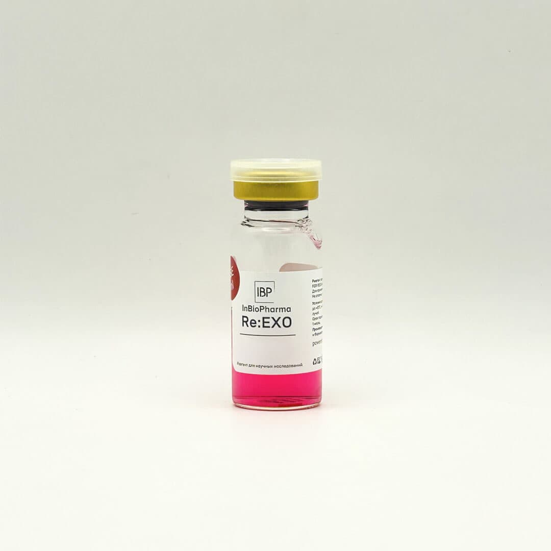 Re:EXO Rose